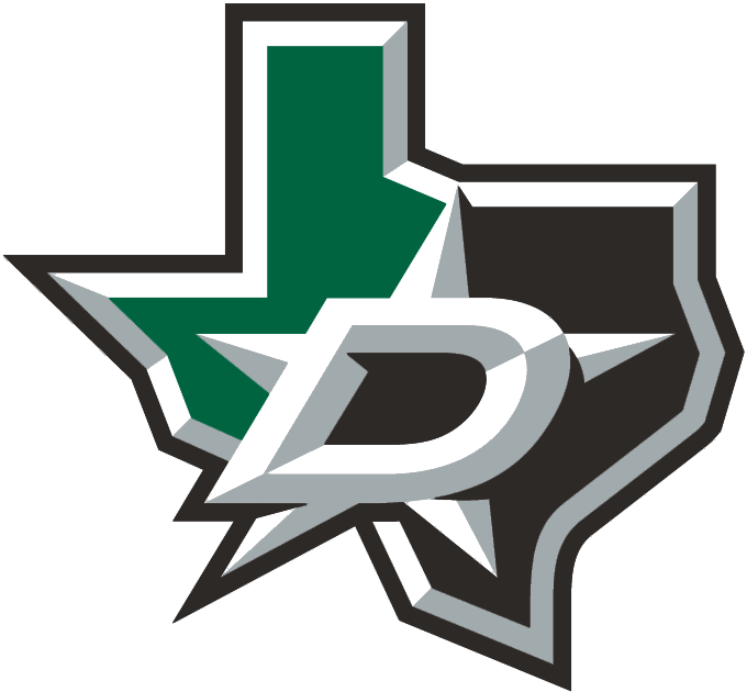 Dallas Stars 2013-Pres Alternate Logo v2 DIY iron on transfer (heat transfer)